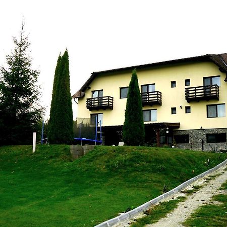 Vila Sohodol Travel Bran  Esterno foto