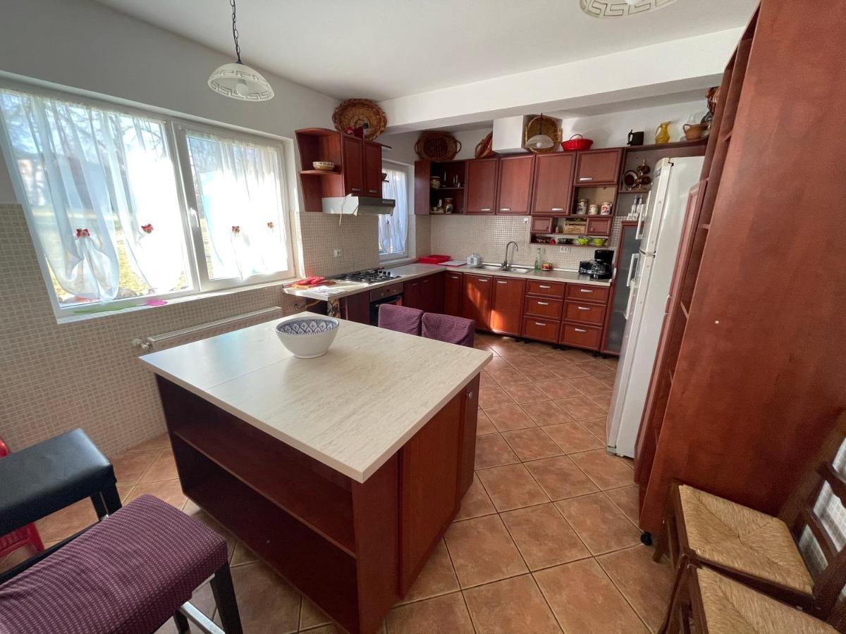 Vila Sohodol Travel Bran  Esterno foto