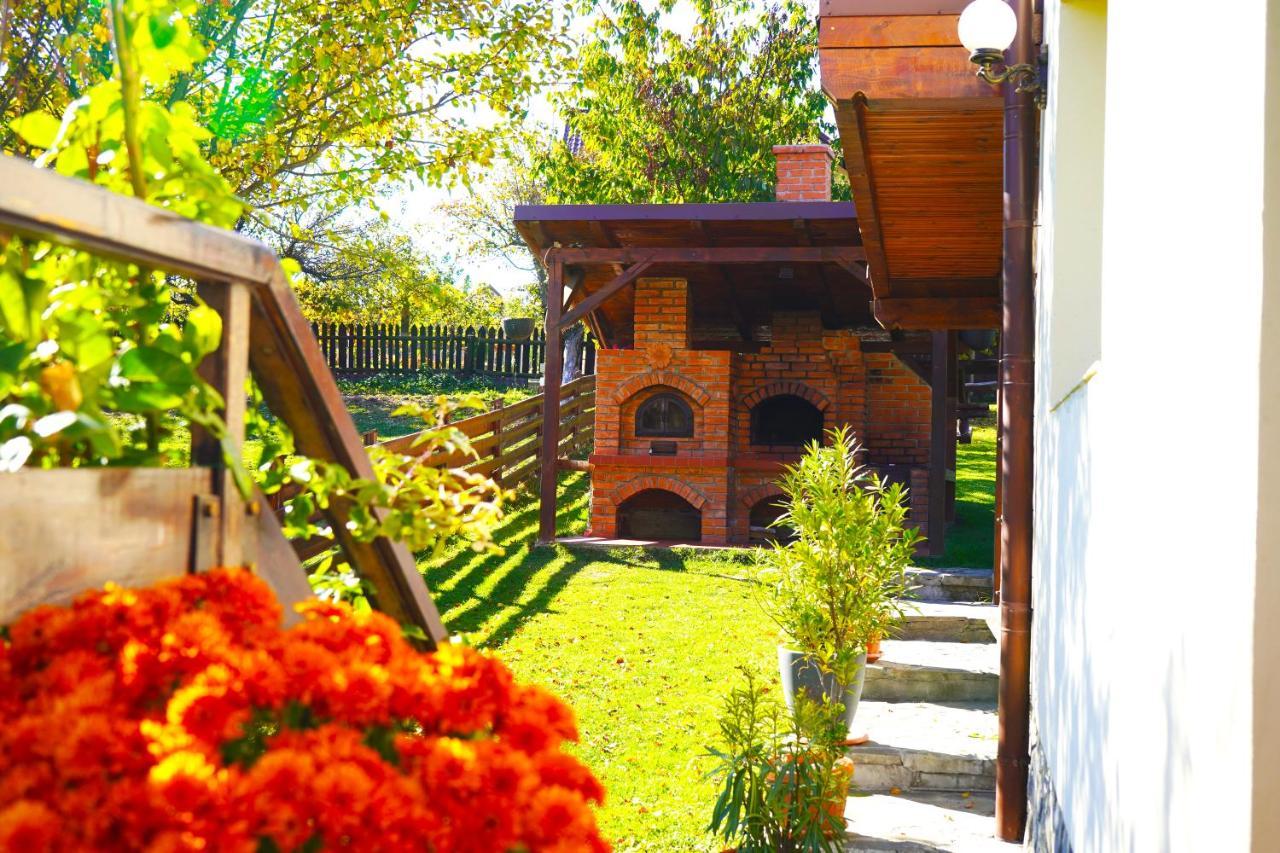 Vila Sohodol Travel Bran  Esterno foto