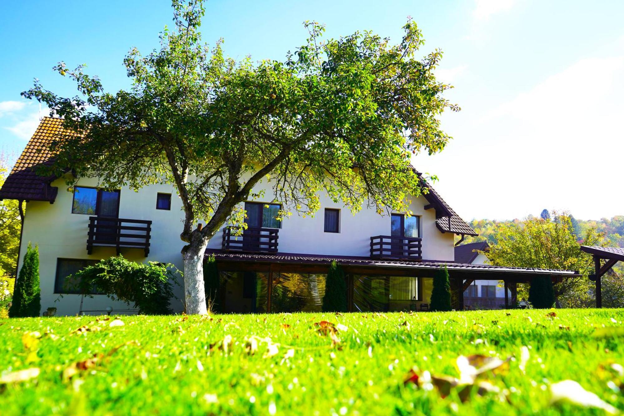 Vila Sohodol Travel Bran  Esterno foto